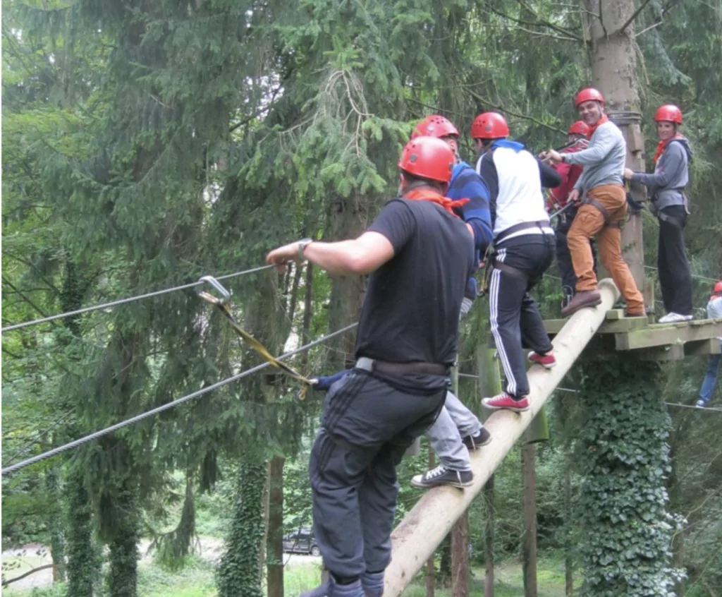 tree-climbing-boar-games_h2-1024x846