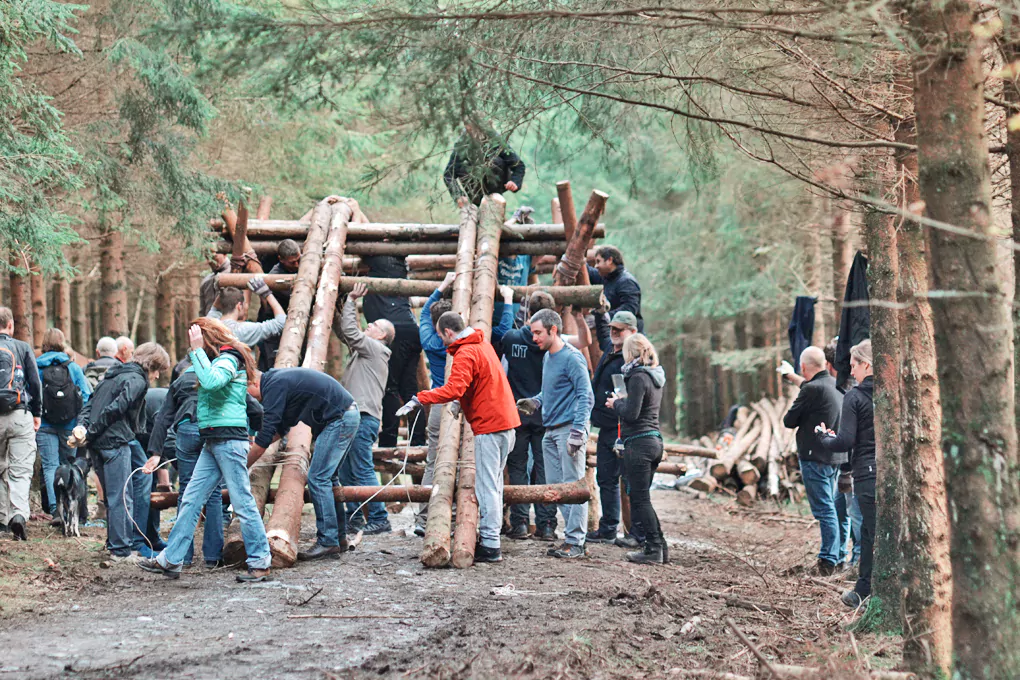 wood-assembly-lumberjack_h3